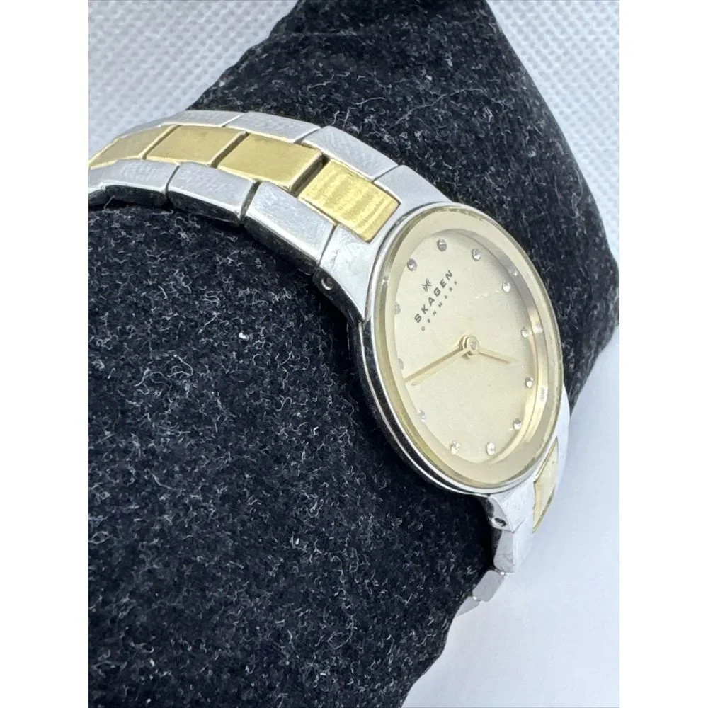 Skagen SKW2090 Women's Two Tone Stainless Steel Analog Dial Quartz Watch JNA966
